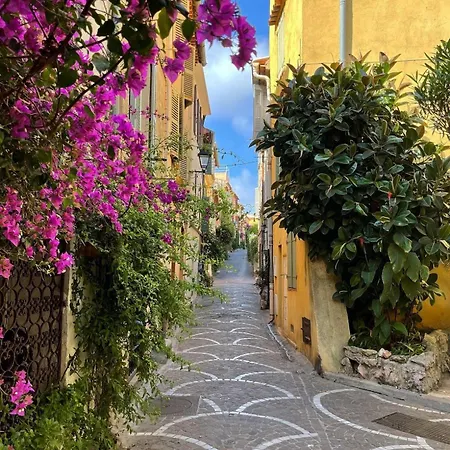 Seaside Serenity - - Beachfront - أنتيب